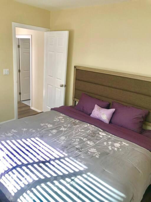 Private Modern Guesthouse With Backyard Los Angeles Zewnętrze zdjęcie